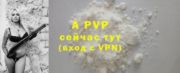 spice Бородино