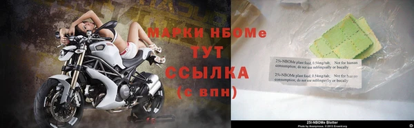 spice Бородино