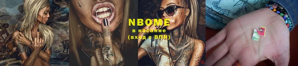 spice Бородино
