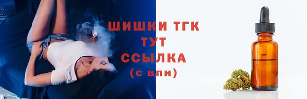 spice Бородино