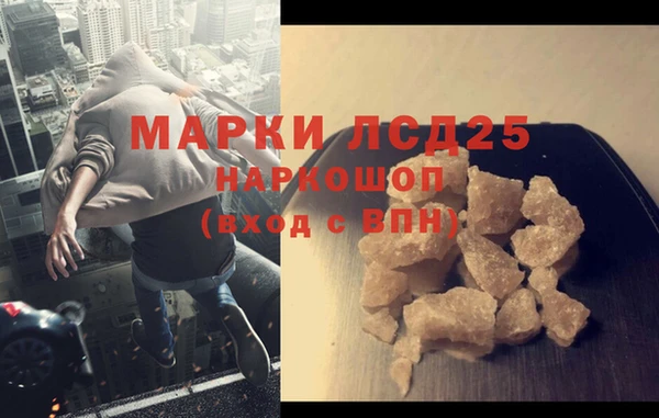 spice Бородино