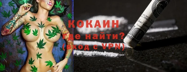 spice Бородино