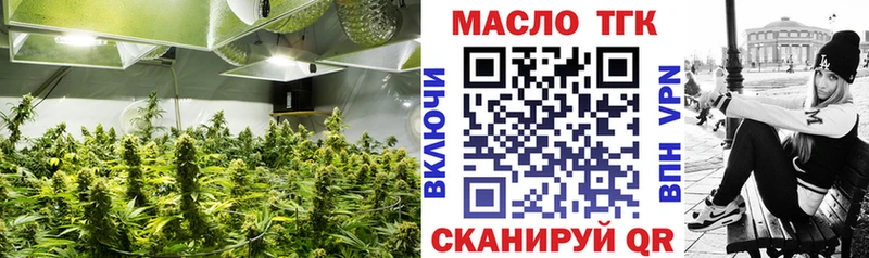 Купить  Новохопёрск  ТГК концентрат 