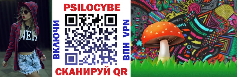 Галлюциногенные грибы MAGIC MUSHROOMS  Купить где  Новохопёрск 